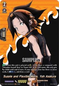 Supple and Flexible Mana, Yoh Asakura (SKR)