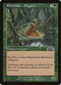 Rootwater Alligator