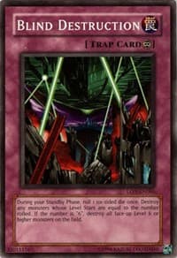 Blind Destruction