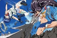 Bushiroad Rubber Mat Collection V2 Vol.562: Ikkitousen - Ryomou & Kan-u