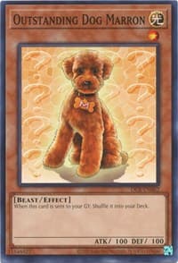 Outstanding Dog Marron