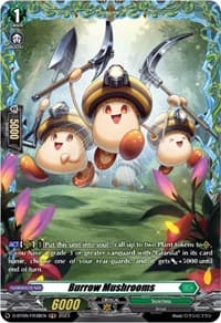 Burrow Mushrooms (FR)