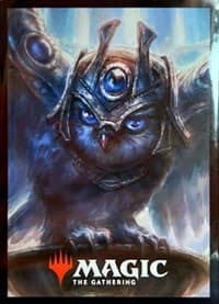 Judge Academy Card Sleeves (50-Pack)