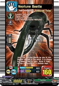 Neptune Beetle