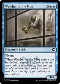 Watcher in the Mist