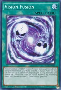 Vision Fusion
