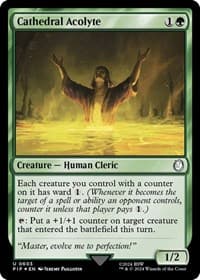 Cathedral Acolyte (Surge Foil)