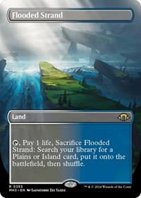 Flooded Strand (Borderless)
