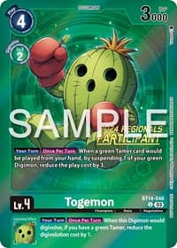 Togemon (2024 Regionals Participant)