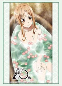 Bushiroad Sleeve Collection HG Vol. 3815: Sword Art Online 10th Anniversary - Asuna Part.5 (75-Sleeves)