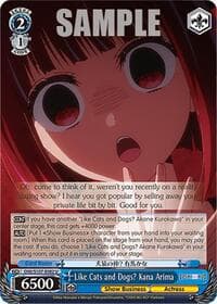Like Cats and Dogs? Kana Arima