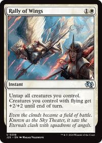 Rally of Wings