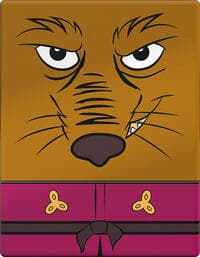 Squaroes Teenage Mutant Ninja Turtles - Splinter