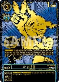 Veemon (24-25 World Championship Finals Participation)