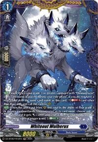 Whiteout Wulberus (FR)
