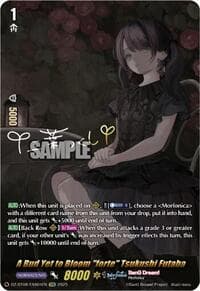 A Bud Yet to Bloom "forte" Tsukushi Futaba (EXS)