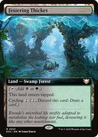 Festering Thicket (Extended Art)