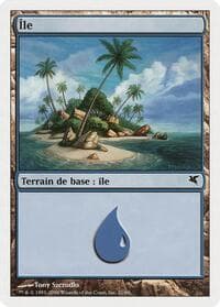 Island (French) - "Ile" (H21)
