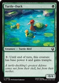 Turtle-Duck