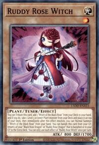 Ruddy Rose Witch