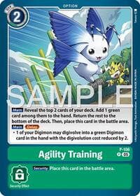 Agility Training (Reprint)
