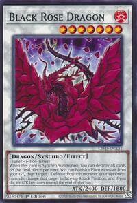 Black Rose Dragon