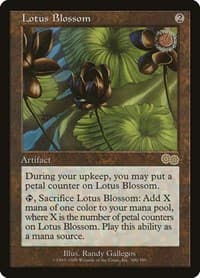 Lotus Blossom
