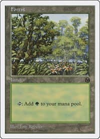 Forest (Arena)