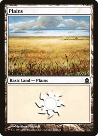 Plains (302)