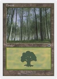 Forest (104)