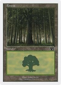 Forest (105)