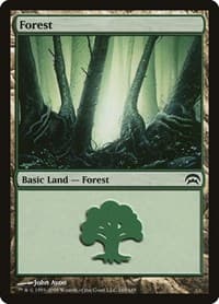 Forest (165)