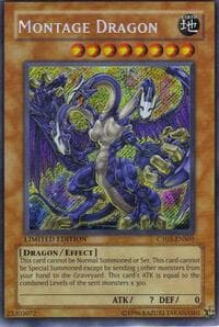 Montage Dragon