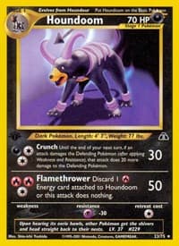 Houndoom (23)