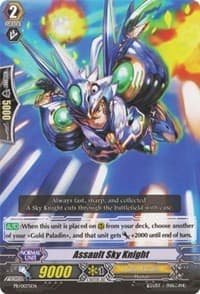 Assault Sky Knight