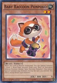 Baby Raccoon Ponpoko