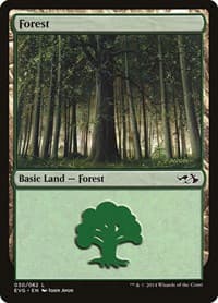 Forest (030) (EVG)