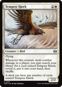 Imagen de Tempest Hawk