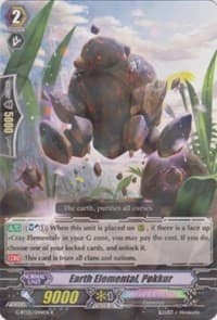 Earth Elemental, Pokkur