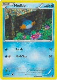 Mudkip - 5/12