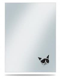 Memes: Grumpy Cat Sleeve Covers (50-Pack)