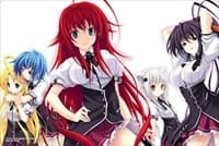 Bushiroad Rubber Mat Collection Vol.433: Fujimi Fantasia Bunko - High School DxD