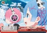 Expectant Gazes