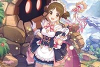 Bushiroad Rubber Mat Collection Vol.748: Princess Connect! Re:Dive - Suzume