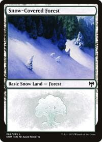 Snow-Covered Forest (284)