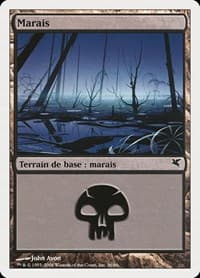 Swamp (French) - "Marais" (A36)