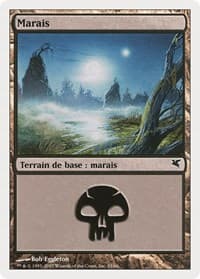 Swamp (French) - "Marais" (D33)
