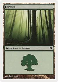 Forest (Spanish) - "Bosque" (K8)
