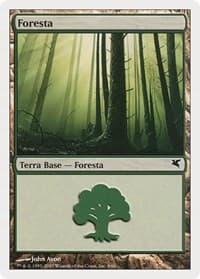Forest (Italian) - "Foresta" (B9)