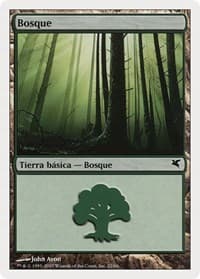 Forest (Spanish) - "Bosque" (J22)